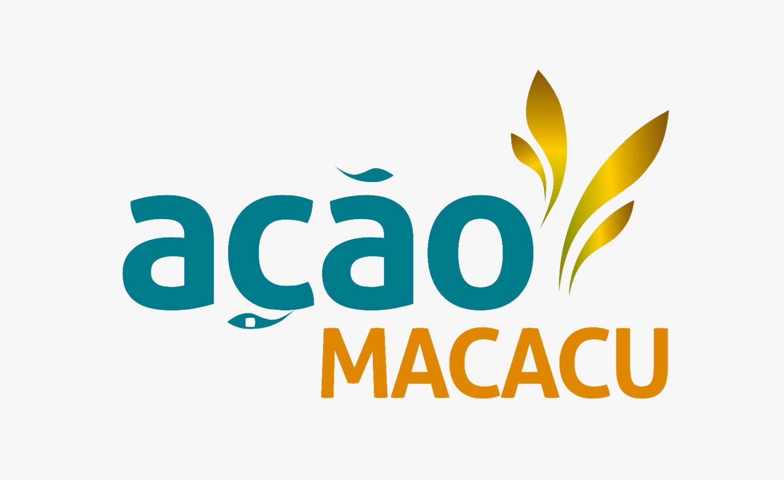 Instituto de Ação Socioambiental